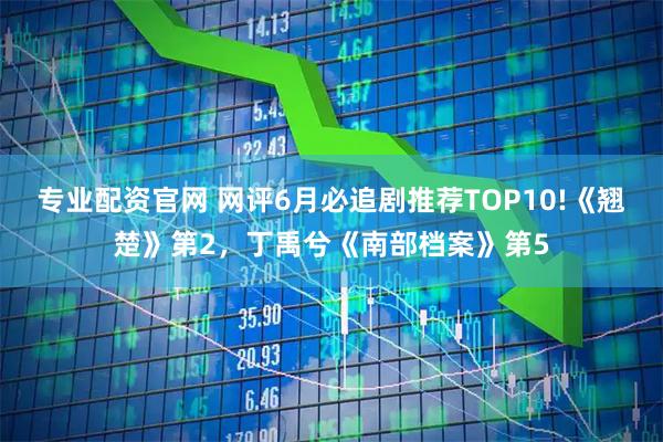 专业配资官网 网评6月必追剧推荐TOP10!《翘楚》第2,丁禹兮《南部档案》第5